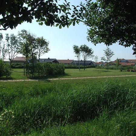 Friedrichskoog-Deichblick 1 Villa ภายนอก รูปภาพ